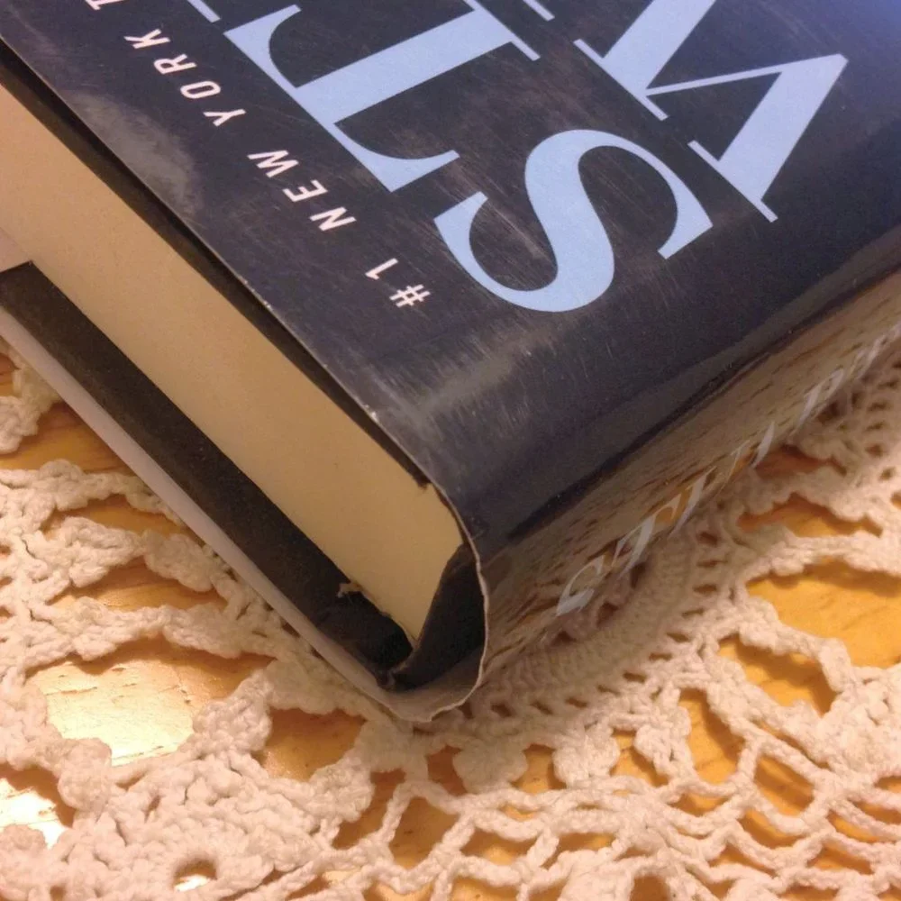 Thriller, Criminal Mischief by Stuart Woods